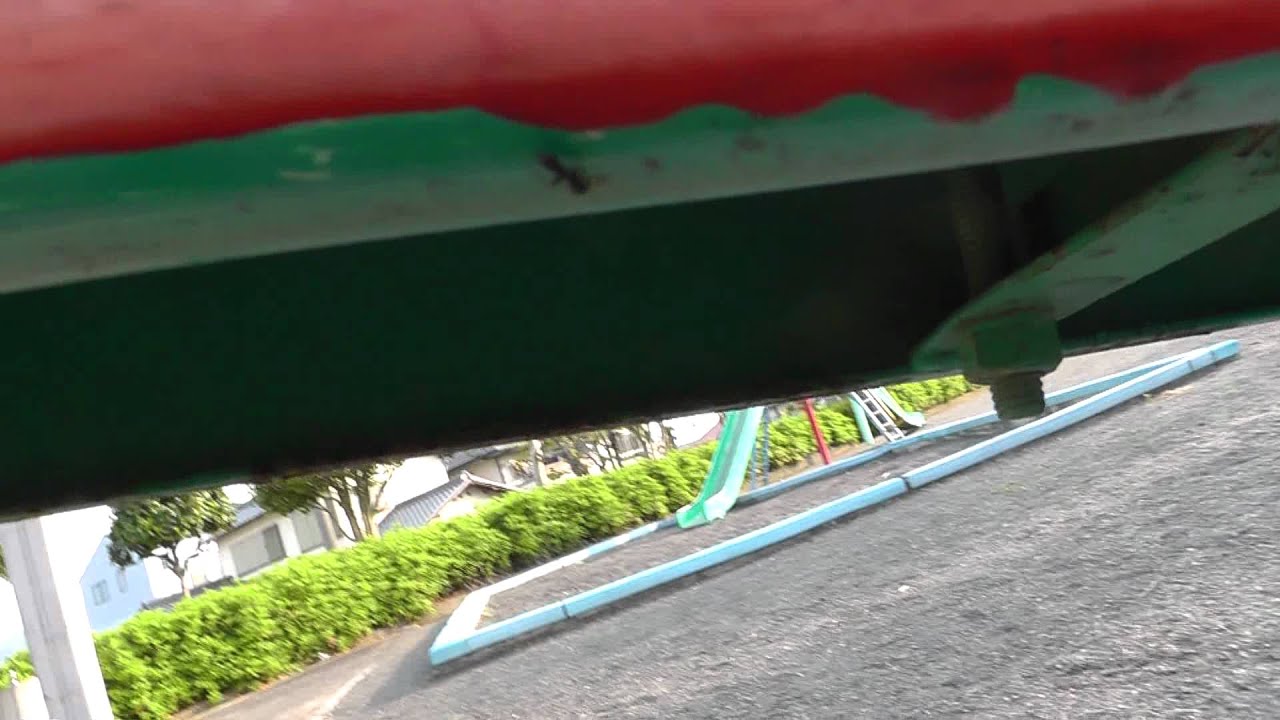 🐝 Astonishing Japan Ant Mimic Jumping Spider - Myrmarachne - Real Japan Monsters