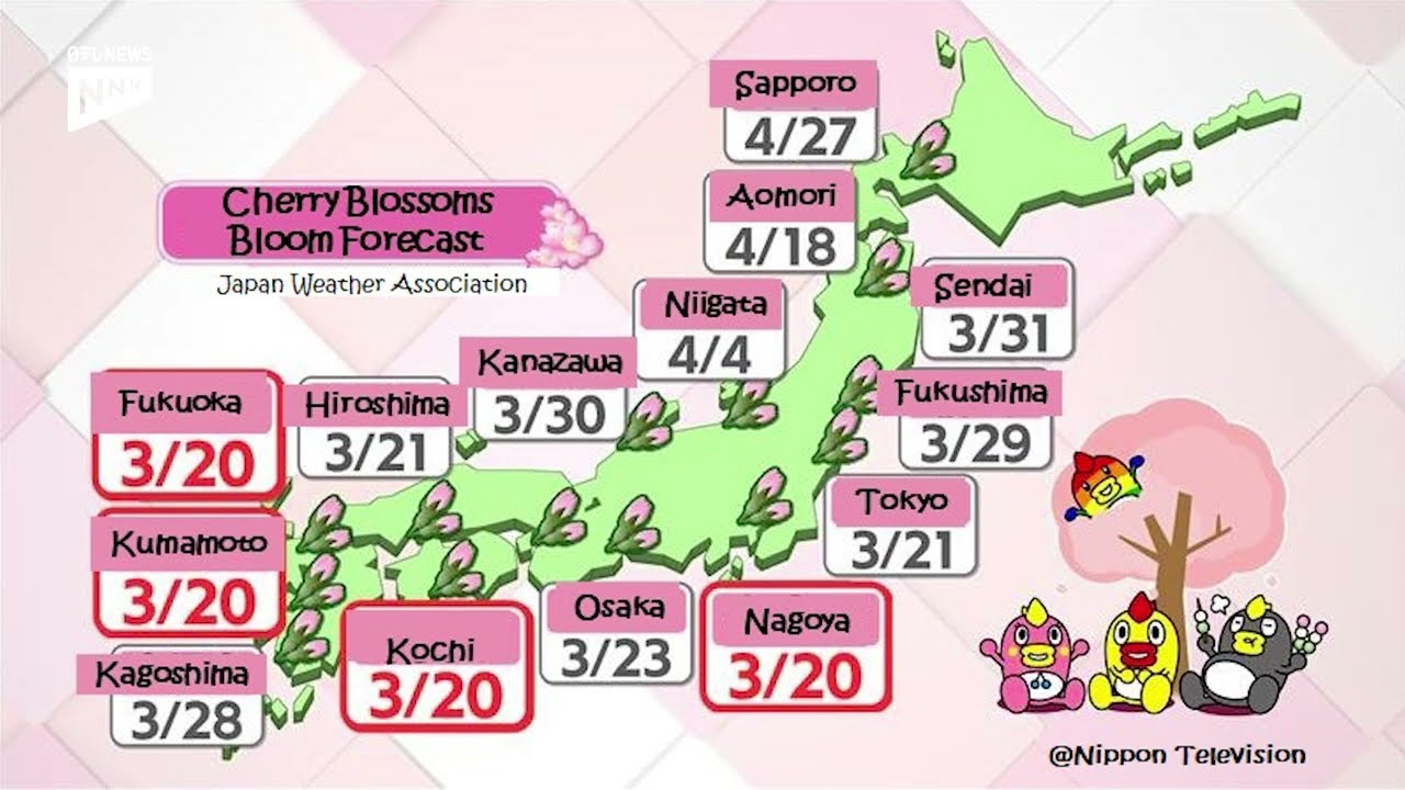 桜の開花予想　Can't Miss the SAKURA : Cherry Blossom Forecast