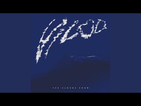 Vilod — Wassernova