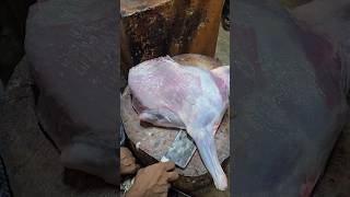 Mutton Cutting