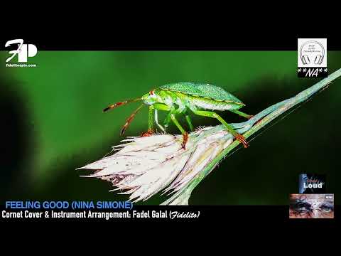 Feeling Good (Nina Simone) - Cornet Cover & Instrument Arrangement