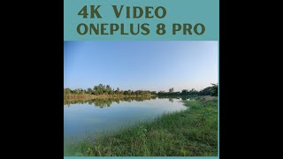 4K Video Sample From Oneplus 8 Pro 2023 Oneplus 8 Pro Video Footage In 2023