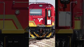 China vs SA | Transnet Wins Court Over Locomotive Spares