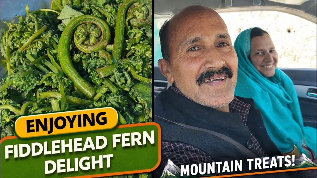 Mountain Life & Fresh Fiddlehead Harvest 🌿 kis road ki sabzi