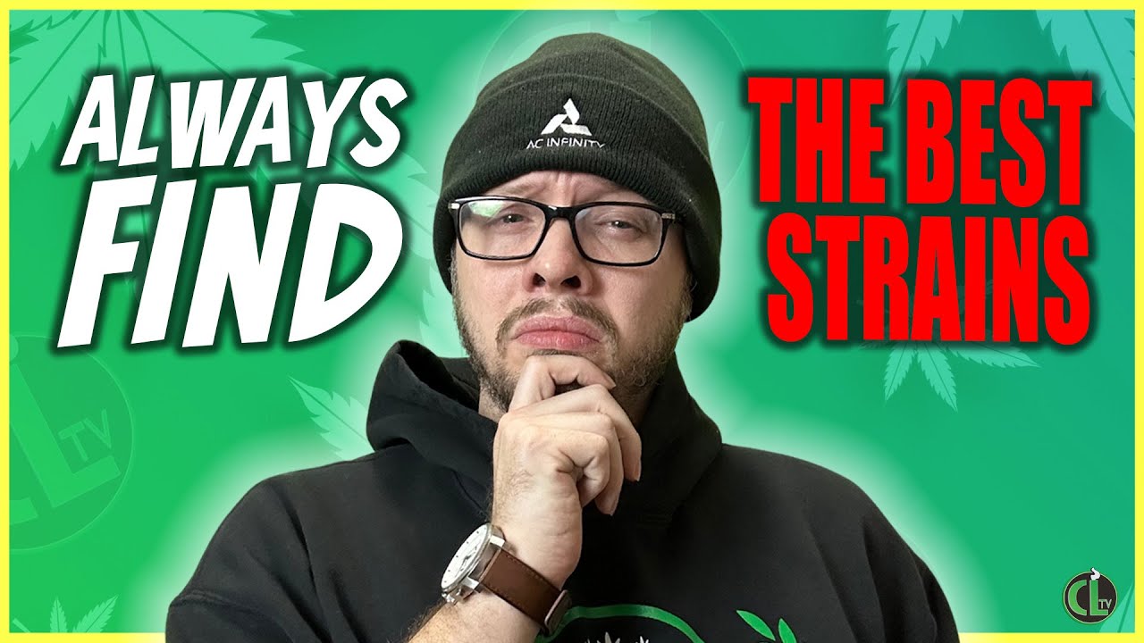 7 Tips to Find AND Keep Great Genetics