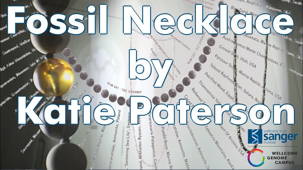 'Fossil Necklace' by Katie Paterson - Sanger Institute