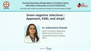 Gram-Negative Infections in the ICU: Approach, ESBL & AmpC | CRCCID Module Recap