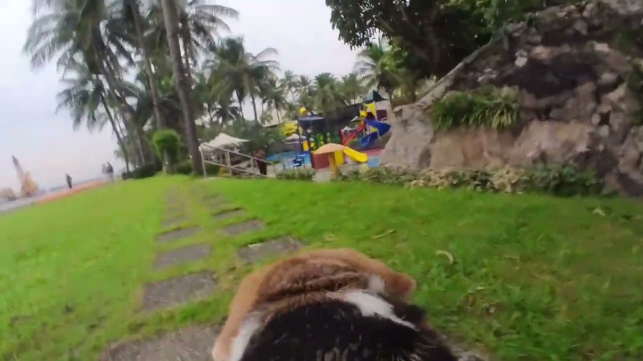 Our Pet In Sofitel Philippine Plaza Hotel