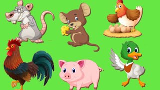 Animal Puzzles ตัวต่อสัตว์ screenshot 3
