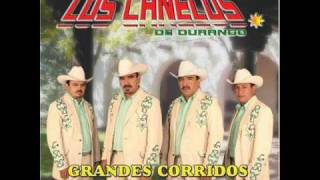 Video thumbnail of "Los canelos de Durango-Una sola caida"