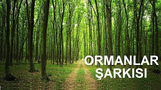 Ormanlar şarkısı  - Tohumlar Fidana dinleme metni Resimi