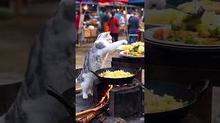 Famous This is the level ai has reached; #cat Profile