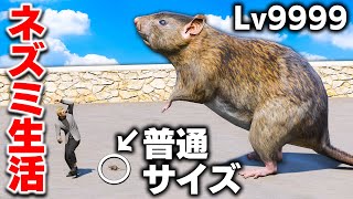 GTA5] Eating too much and becoming gigantic! Rats attack the