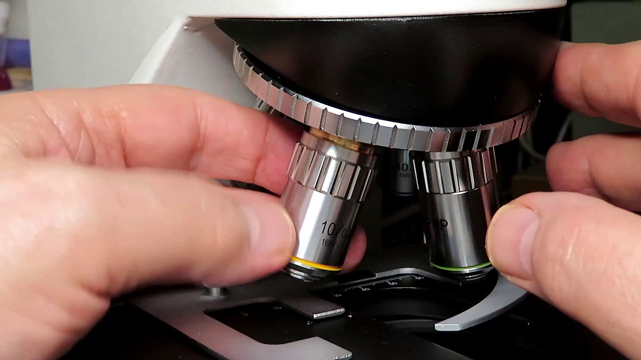 Kit contraste de fase para microscopio - YouTube