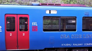 ニューフェイスSEA SIDE LINER JR指宿枕崎線を走る ほか3型も New Face SEA SIDE LINER train ran on JR Ibusukimakurazaki Lin