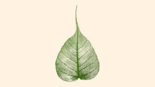 130808 Still, Open & Without Resistence \ \ Thanissaro Bhikkhu \ \ Short Dhamma Talk