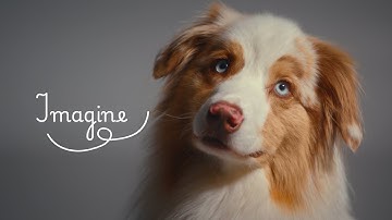 Animating Brands -  Why Brands need Motion Design to succeed!