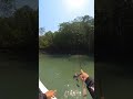 Snag bashing #barramundifishing #insta360x3 #ntaustralia #gloomis #garmin #quintrex