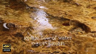 4K + Natural environmental sounds  / Enjoy the clear and gentle flow and sound of water by kazephoto _ 4 K 癒しの自然風景 10,495 views 3 months ago 3 hours