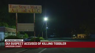 1-year-old dead after being hit by DUI suspect in Anderson