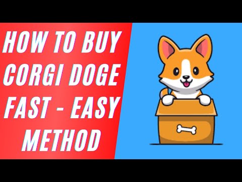 How to Buy Corgi Doge Fast -  Easy Method