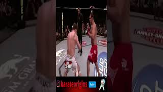 KENPO KARATE NO MMA