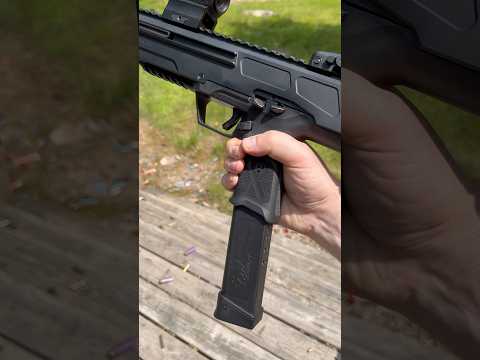 Ruger LC Carbine