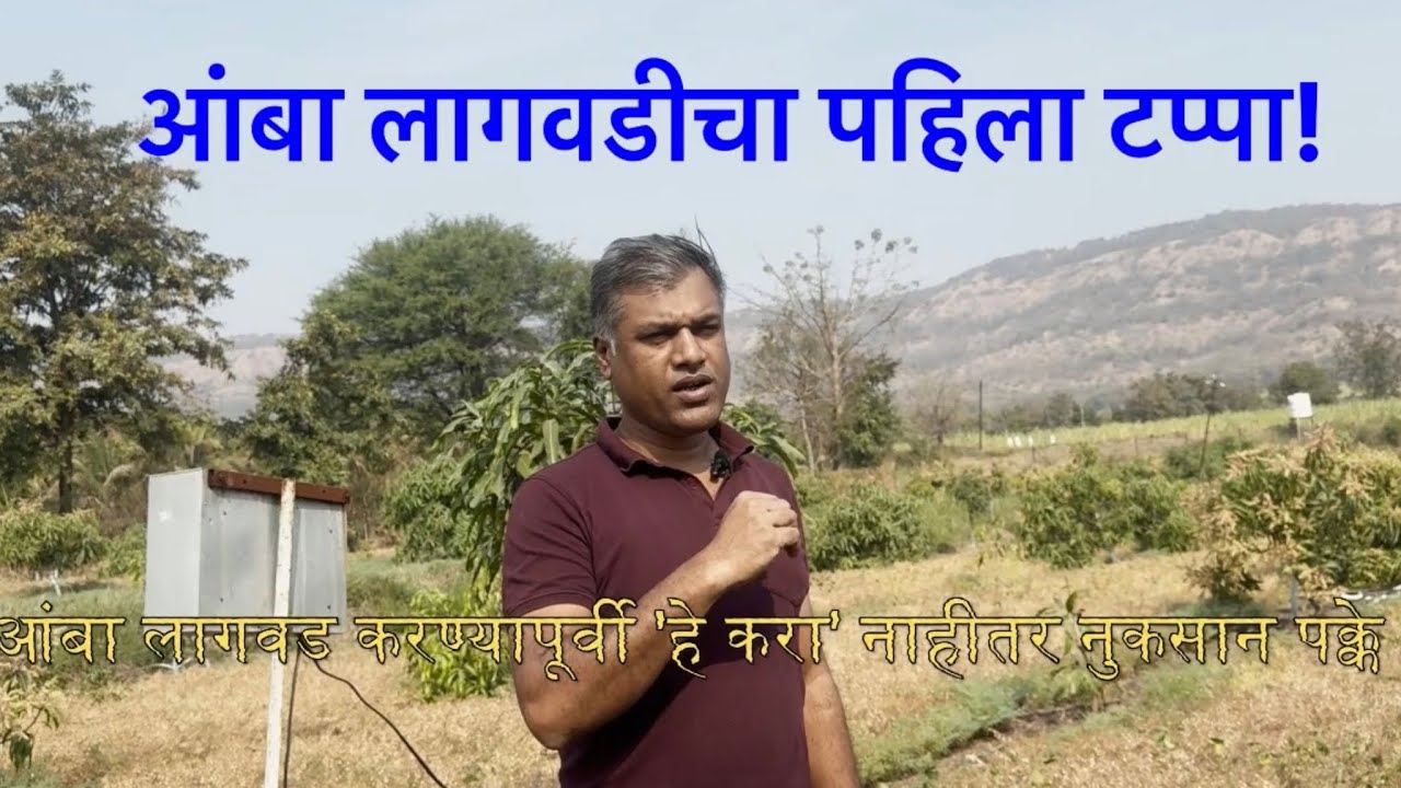 Vlog001 - आंबा लागवड करण्यापूर्वी 'हे' करा, नाहीतर नुकसान नक्की!  (निसर्गफार्मs)