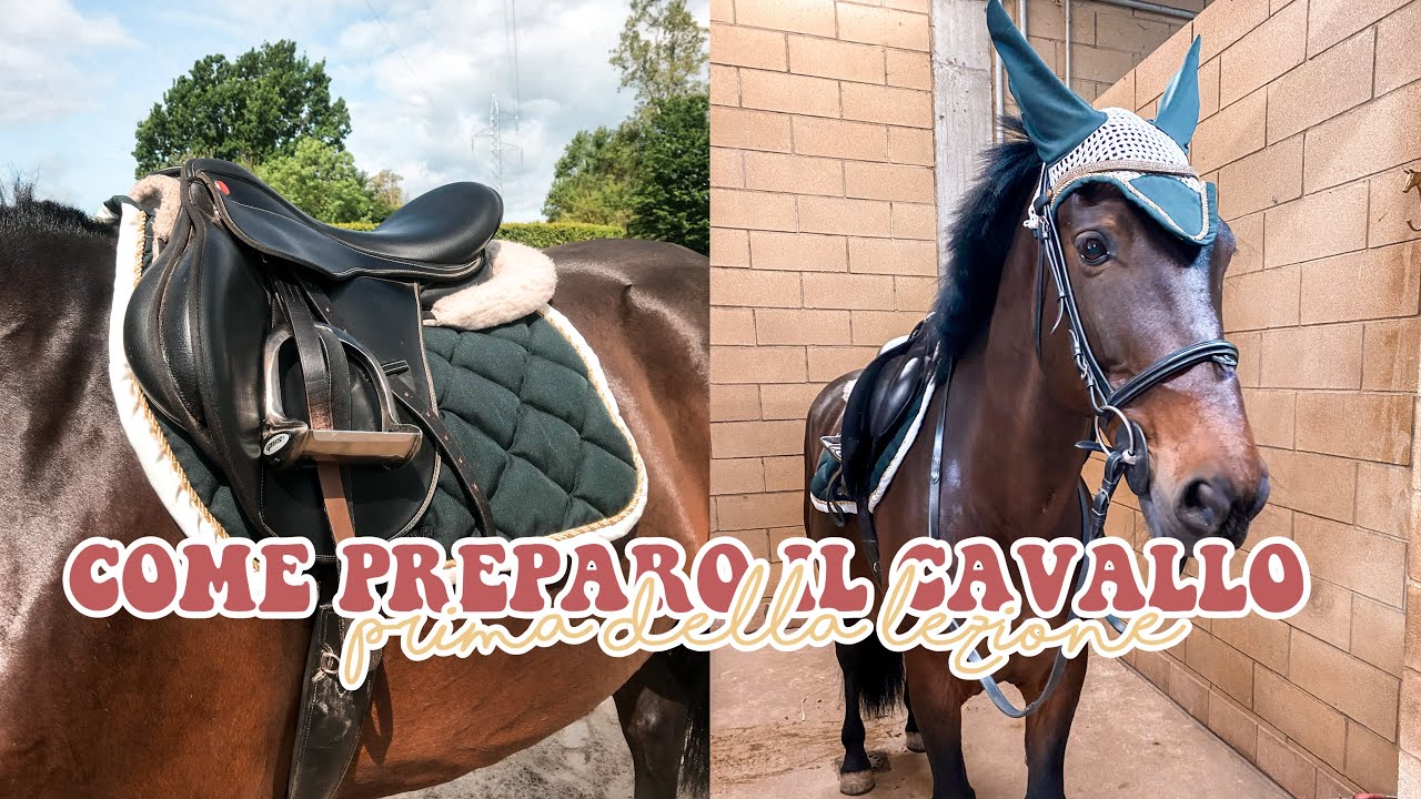 COME PREPARO E PULISCO IL MIO CAVALLO 🐴✨🧽