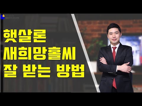 사잇돌대출