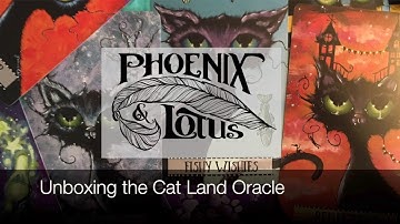 Unboxing the Cat Land Oracle