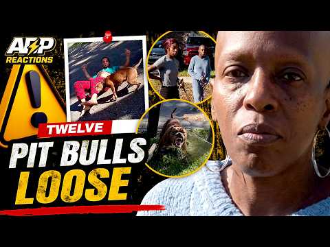12 Loose Pit Bulls Put An Entire Neighborhood On Lockdown! | AceBoyPun Reacts