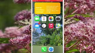 iPhone 7 : How to set Camera app to automatically reset to the Photo mode screenshot 3