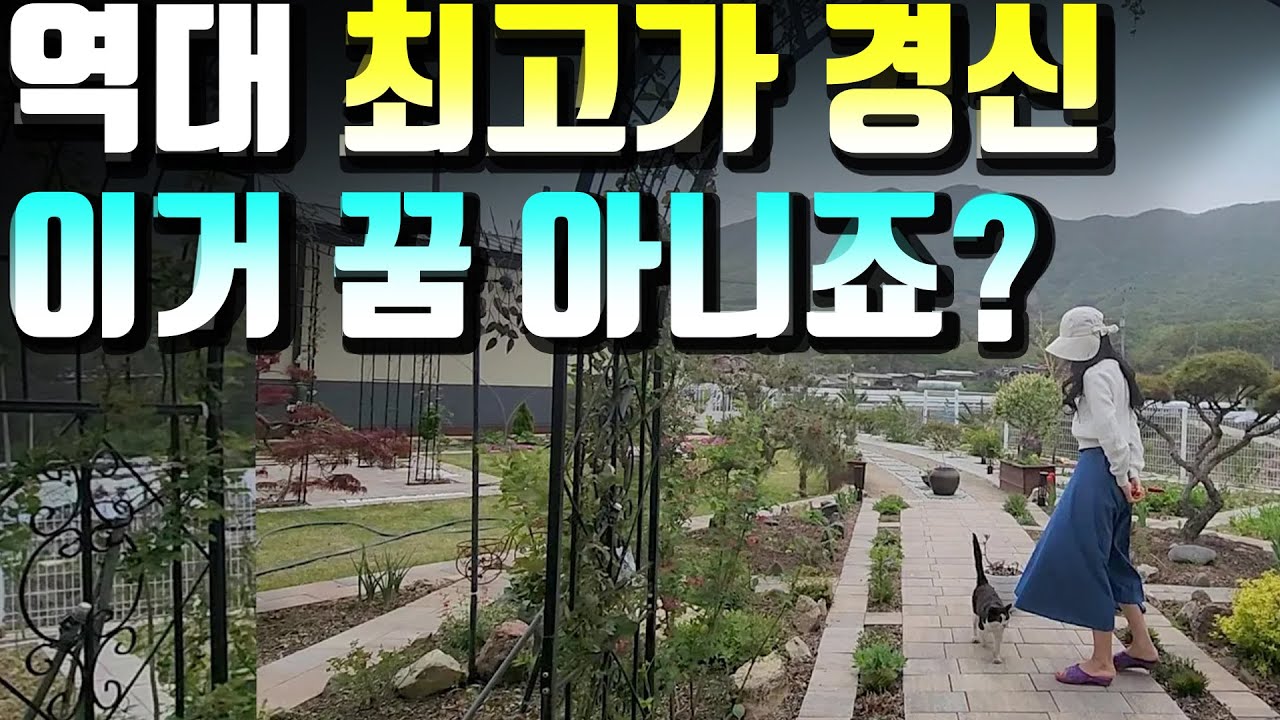 난생처음 투자 수익 봤다.. 나 울고 있니?