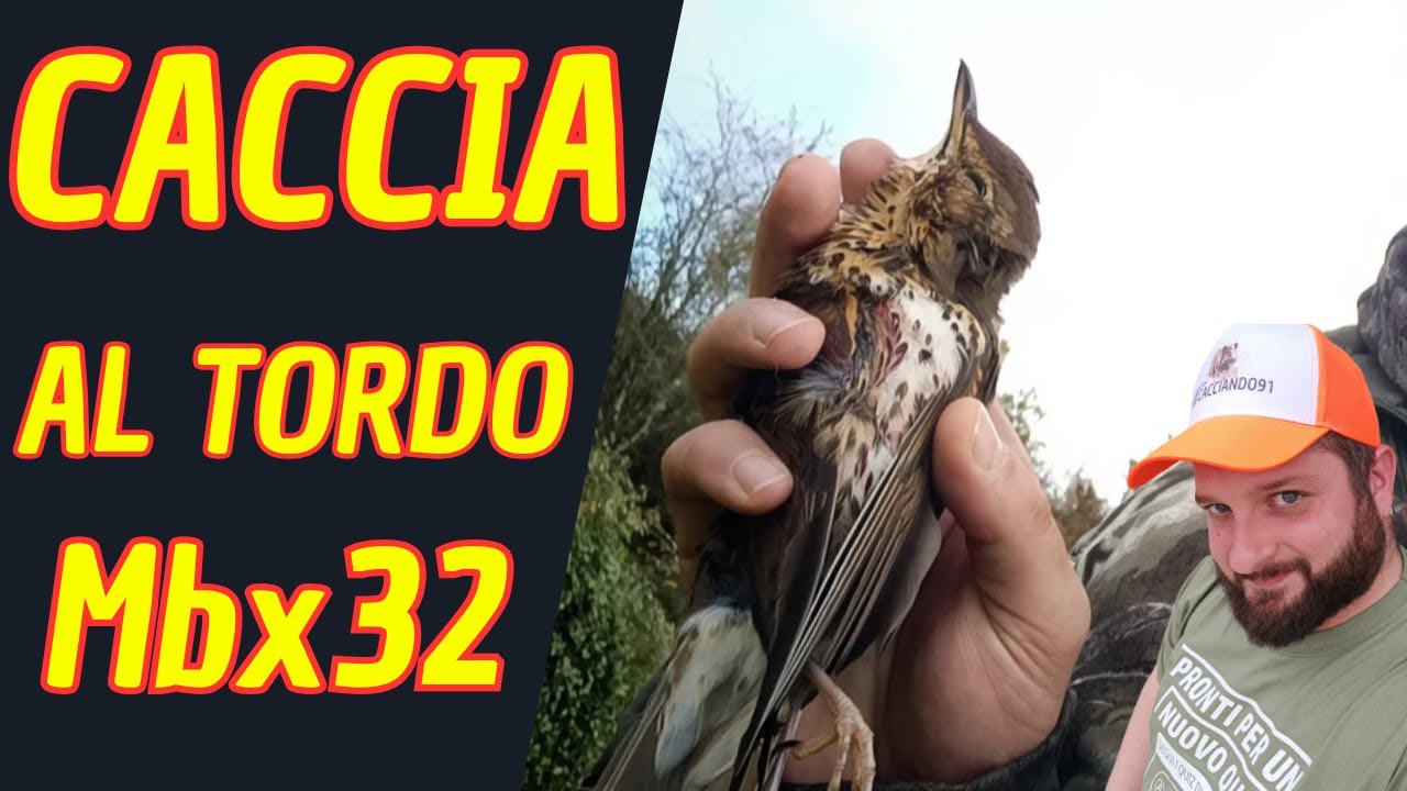 CACCIA AL TORDO - I primi Tordi di Ottobre