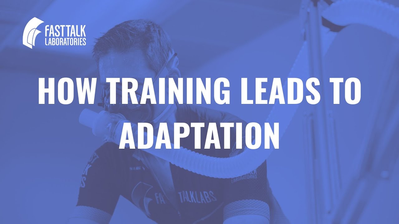 Adaptation vs Recovery: How Training Triggers Growth in Endurance Athletes