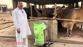 Best Bulls of  Rajpoot #cattlefarm Lahore Qurbani 2024 ll #bachrafarming #mandi #cattlemarket  #cow