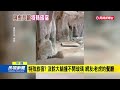 您敢與虎共眠嗎？ 中國河南動物園推「虎景房」一晚不到800台幣－民視新聞