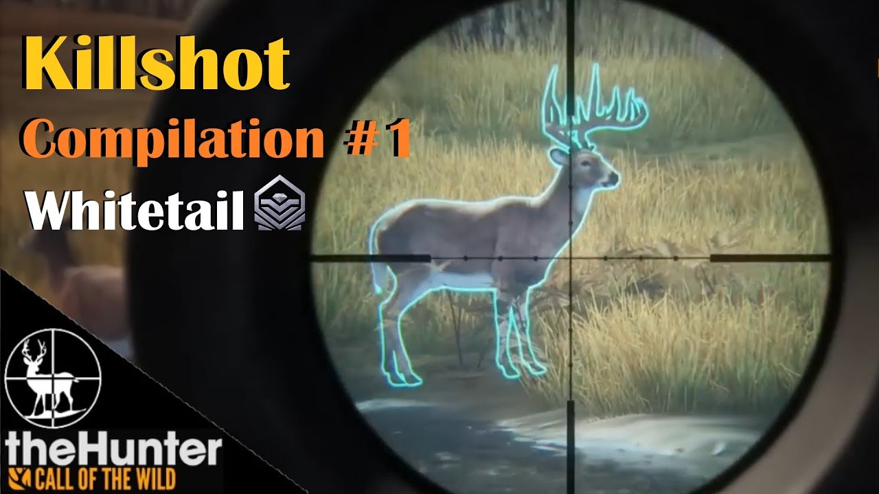 10 Diamond Bucks in 10 minutes💎 Compilation #1 💎 Layton Lakes Reserve | theHunter Call of the Wild