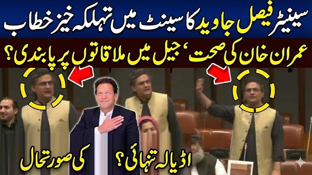 Senator Faisal Javed Fiery Speech In Senate Imran Khan Health Adiala Jail Ban