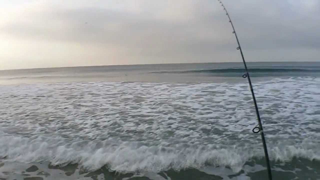 Carlsbad surf fishing on 12/15/11 YouTube