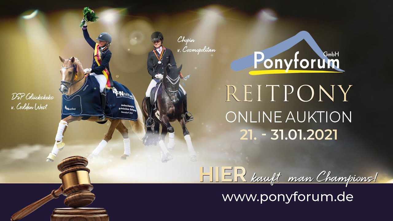 CINDERELLA Stute * 2017 v. Caramel FH - Mandingo