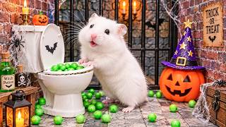 Hamster Escapes Halloween Prison Maze 🎃 | Hamster Maze