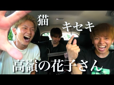 【歌】高嶺の花子さん-back number- 猫-DISH //-キセキ-GReeeeN