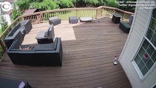 Sonic boom wakes up sleeping dog in Washington, D.C. area