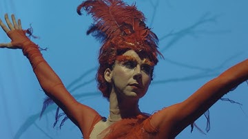 Firebird | enter a world of myth and magic