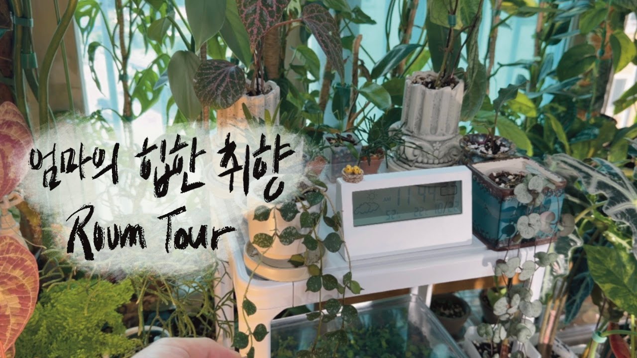 [RoomTour]모녀가 함께하는 취미생활! 이거슨 유전..? / 아들도 군대가기 전에 식물 주고 떠남 / 힙한 엄마의 식물 취향 엿보기 - 식집사 모녀편1