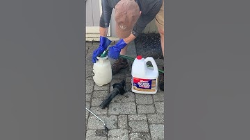 How To Clean Concrete Pavers - Remove Moss and Algae from Patio #shorts