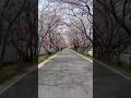 180°