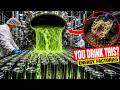 How It’s Made: Energy Drinks in Factories (It’s Worse Than You Think)